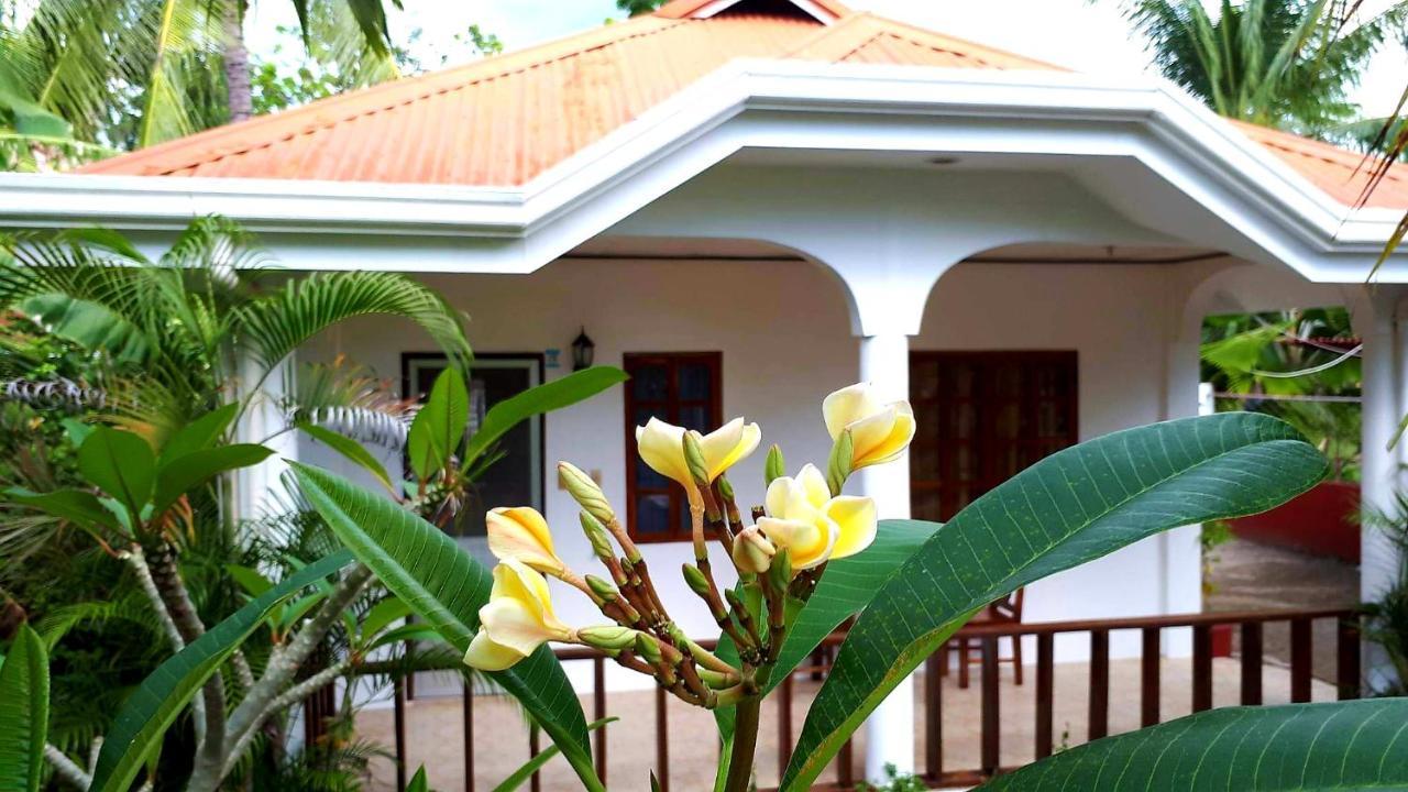 Palmera Palma Private 1-Br Bungalow In Moalboal Esterno foto